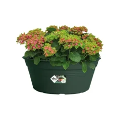 Coupe living noir Elho Green Basics - Ø 38 cm