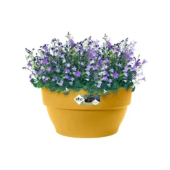 Coupe ronde en plastique recyclé jaune miel Elho Vibia Campana - Ø 27 x H 14 cm