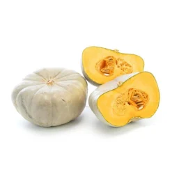 Courge Bleue de Hongrie bio de France - Prix au kg