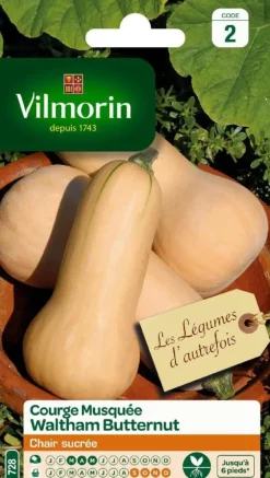 Courge Musquée Waltham Butternut Vilmorin - graines à semer