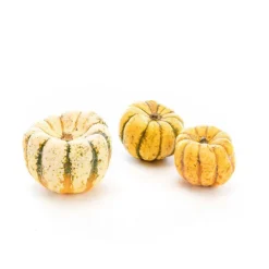 Courge Patidou bio de France - Prix au kg