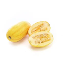 Courge Spaghetti bio de France - Prix au kg