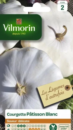 Courgette Pâtisson Blanc Vilmorin - graines à semer