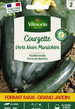 Courgette Verte Noire Maraîchère Format Éco Vilmorin - graines à semer