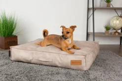 Coussin pour chien beige Kensington – Taille M