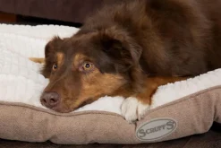 Coussin pour chien beige Ellen Scruffs - Taille M