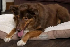 Coussin pour chien beige Ellen Scruffs - Taille M