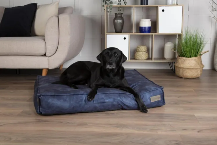 Coussin pour chien bleu Kensington – Taille M