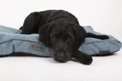 Coussin pour chien bleu Manhattan Scruffs - Taille M