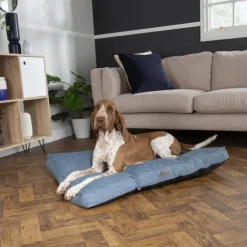 Coussin pour chien bleu Manhattan Scruffs - Taille M