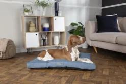 Coussin pour chien bleu Manhattan Scruffs - Taille M