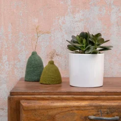 Crassula argentea en pot blanc émaillé H 10 x Ø 15 cm