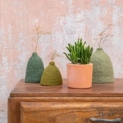 Crassula mix en pot terre cuite Ø 10 cm