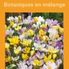 Crocus en mélange botanic® - 15 bulbes