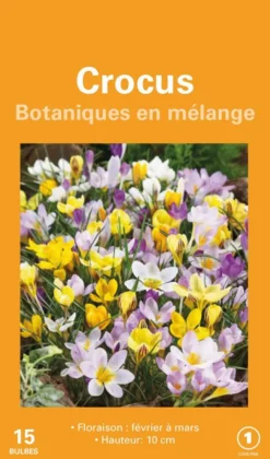 Crocus en mélange botanic® - 15 bulbes