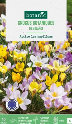 Crocus en mélange botanic® - 40 bulbes