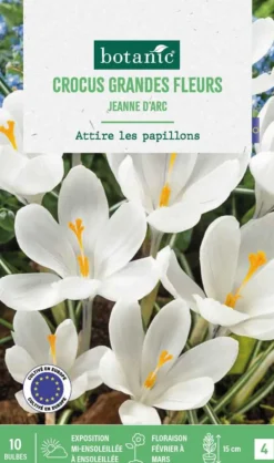 Crocus Jeanne d'Arc en mélange botanic® - 10 bulbes