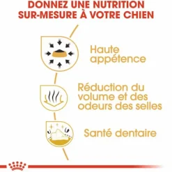 Croquette pour chien adulte Chihuahua Royal Canin - 1,5 kg