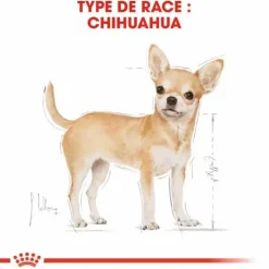 Croquette pour chien adulte Chihuahua Royal Canin - 1,5 kg