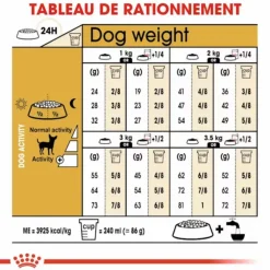Croquette pour chien adulte Chihuahua Royal Canin - 1,5 kg