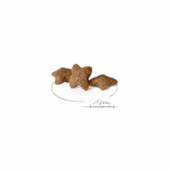 Croquette pour chien adulte de petite taille Royal Canin - 4 kg