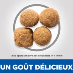 Croquette pour chien adulte grande race au poulet Hill's - 12 kg