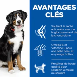 Croquette pour chien adulte grande race au poulet Hill's - 12 kg