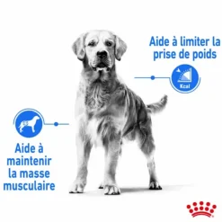 Croquette pour chien adulte de grande taille en surpoids Royal Canin - 12 kg