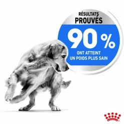 Croquette pour chien adulte de grande taille en surpoids Royal Canin - 12 kg