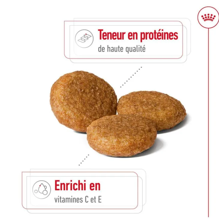 Croquette pour chien adulte de taille moyenne Royal Canin - 15 kg