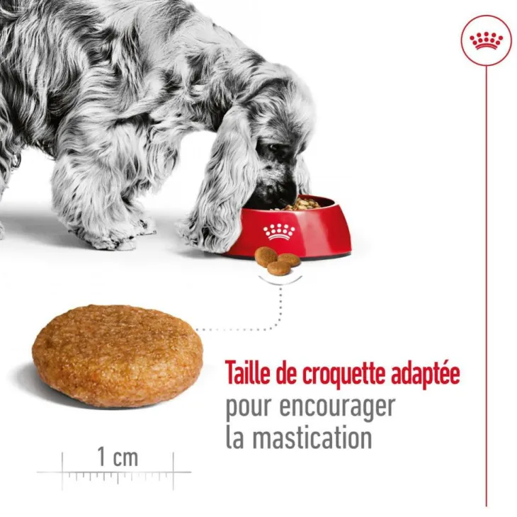 Croquette pour chien adulte de taille moyenne Royal Canin - 15 kg