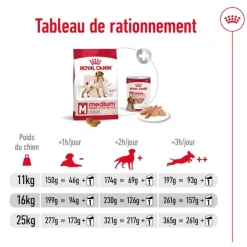Croquette pour chien adulte de taille moyenne Royal Canin - 15 kg