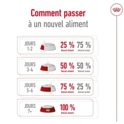 Croquette pour chien adulte de taille moyenne Royal Canin - 15 kg