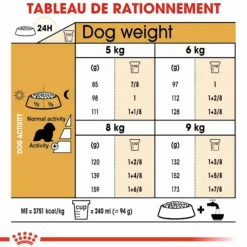Croquette pour chien adulte King Charles Royal Canin - 3 kg