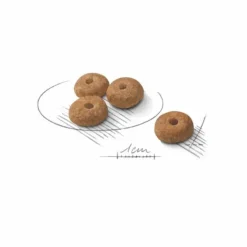 Croquette pour chien adulte stérilisé Royal Canin - 8 kg