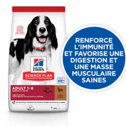 Croquette pour chien adulte de taille moyenne au poulet et riz Hill's - 2,5 kg