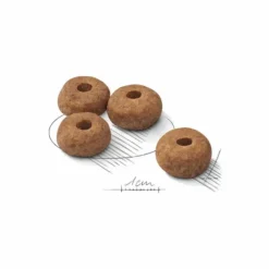 Croquette pour chien adulte stérilisé de taille moyenne Royal Canin - 12 kg