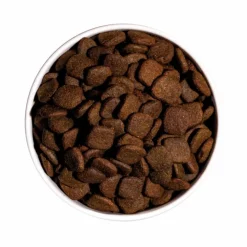 Croquette pour chien adulte sensible au saumon Ownat - 3 kg