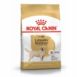 Croquette pour chien adulte Labrador Retriever Royal Canin - 12 kg