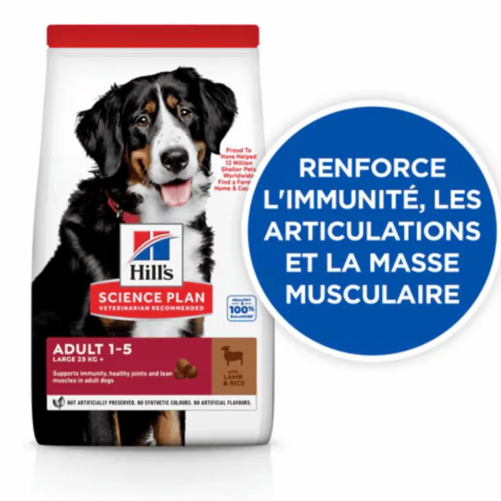 Croquette pour chien adulte grande race aux légumes et au riz Hill's - 12 kg