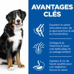 Croquette pour chien adulte grande race aux légumes et au riz Hill's - 12 kg