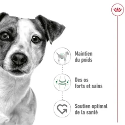 Croquette pour chien adulte de petite taille Royal Canin - 8 kg