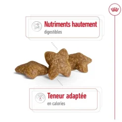 Croquette pour chien adulte de petite taille Royal Canin - 8 kg