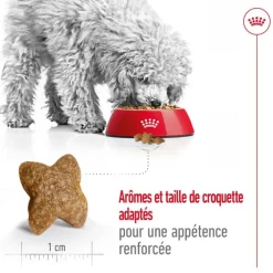 Croquette pour chien adulte de petite taille Royal Canin - 8 kg