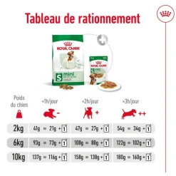 Croquette pour chien adulte de petite taille Royal Canin - 8 kg