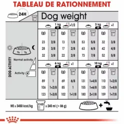 Croquette pour chien adulte stérilisé de petite taille Royal Canin - 3 kg