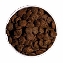 Croquette pour chien adulte sensible Grain Free à l'agneau Ownat - 3 kg