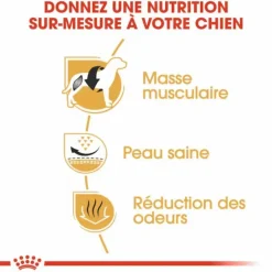 Croquette pour chien Bulldog français Royal Canin - 9 kg