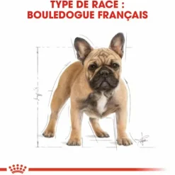 Croquette pour chien Bulldog français Royal Canin - 9 kg