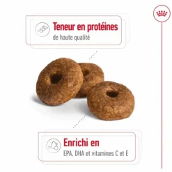 Croquette pour chien mature de taille moyenne Royal Canin - 15 kg